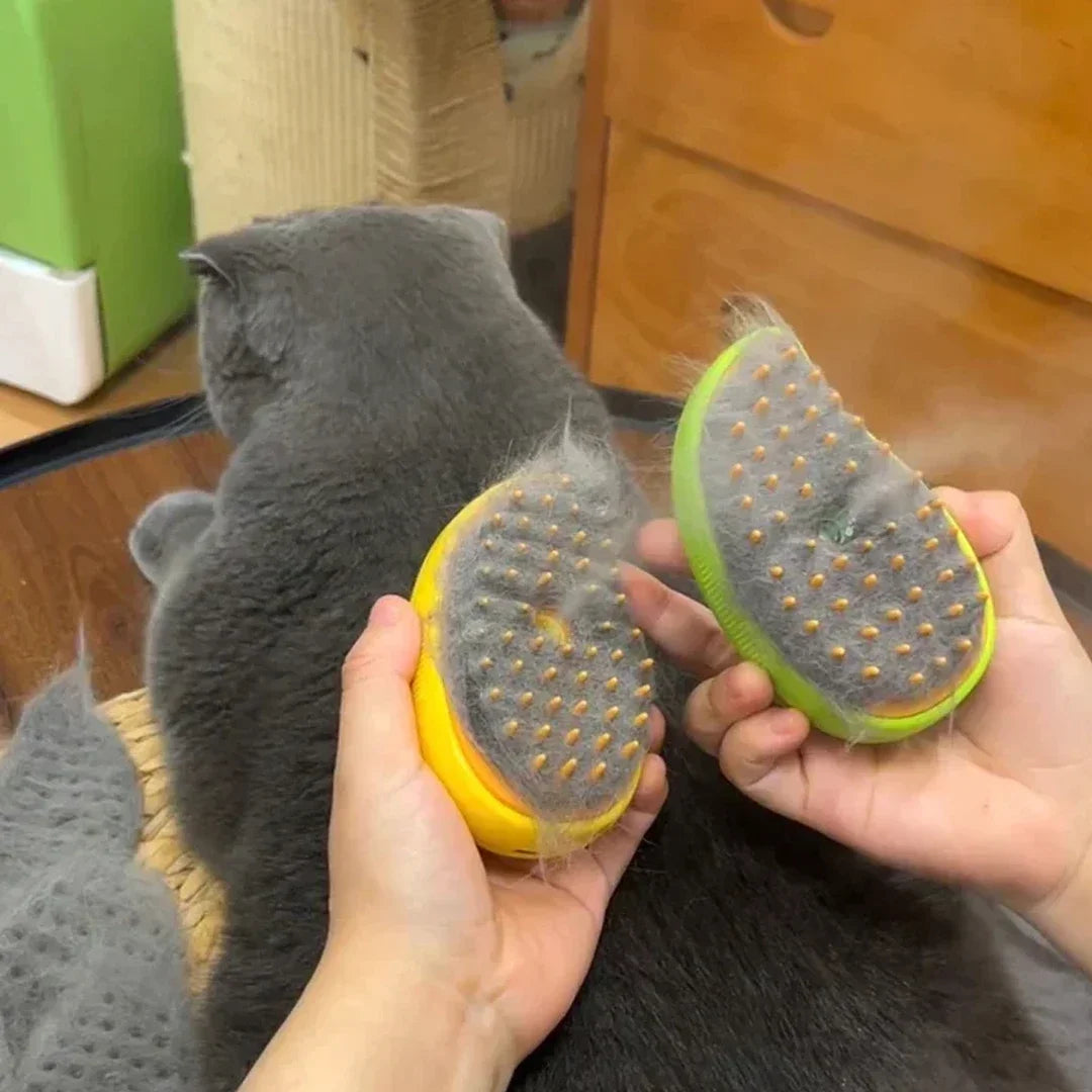 Pet Steam Grooming Brush